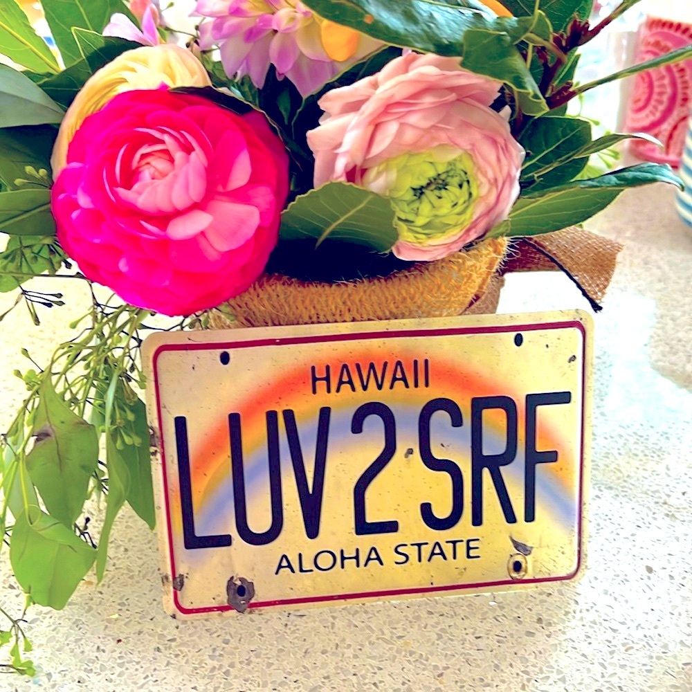Hawaii bundle